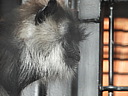 dscn2216.jpg