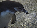dscn2222.jpg