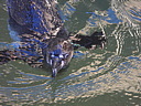 dscn2224.jpg