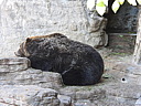 dscn2234.jpg