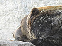 dscn2235.jpg