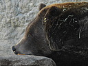 dscn2237.jpg