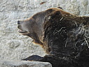dscn2240.jpg