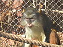 dscn2244.jpg