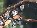 dscn2248.jpg