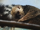 dscn2260.jpg