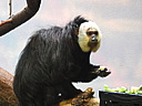 dscn2265.jpg