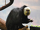 dscn2266.jpg