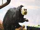dscn2267.jpg