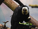 dscn2268.jpg