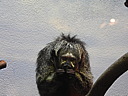 dscn2271.jpg