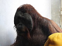 dscn2282.jpg