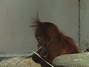 dscn2290.jpg