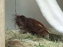 dscn2292.jpg