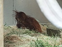 dscn2293.jpg