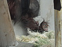 dscn2298.jpg
