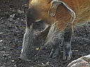 dscn2311.jpg