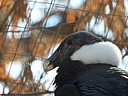 dscn2360.jpg