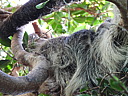 dscn2378.jpg