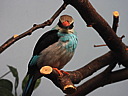 dscn2390.jpg