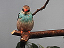 dscn2394.jpg