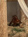 img_0312.jpg
