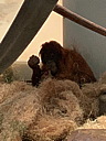 img_0314.jpg