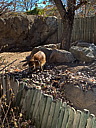 img_0320.jpg