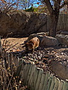 img_0321.jpg