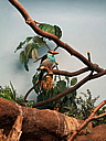 img_0330.jpg