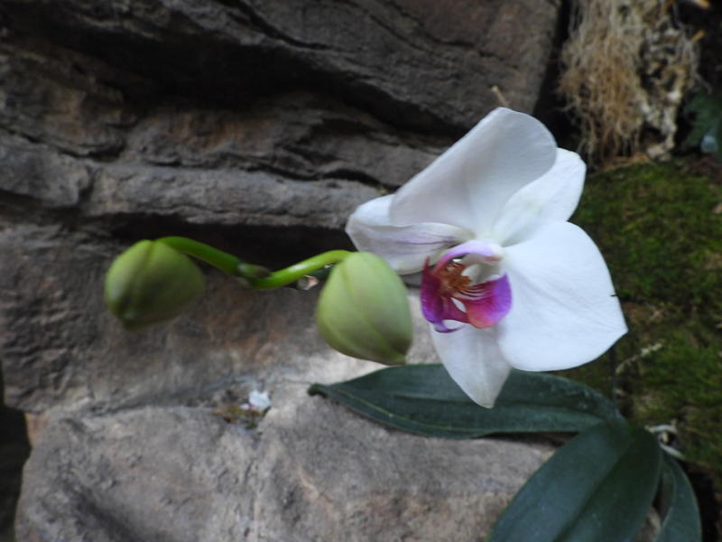 dscn0161.jpg