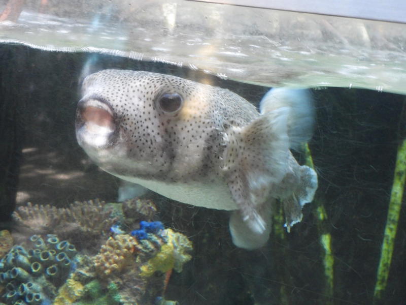 dscn0171.jpg