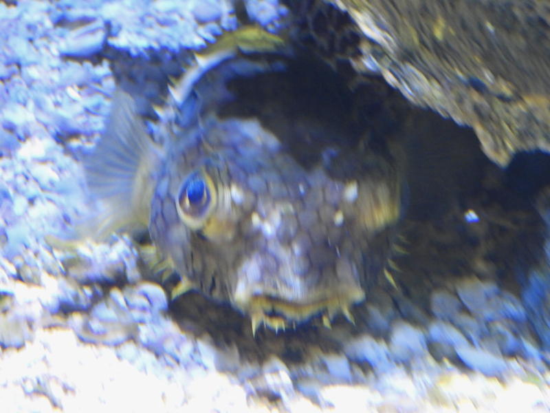 dscn0185.jpg