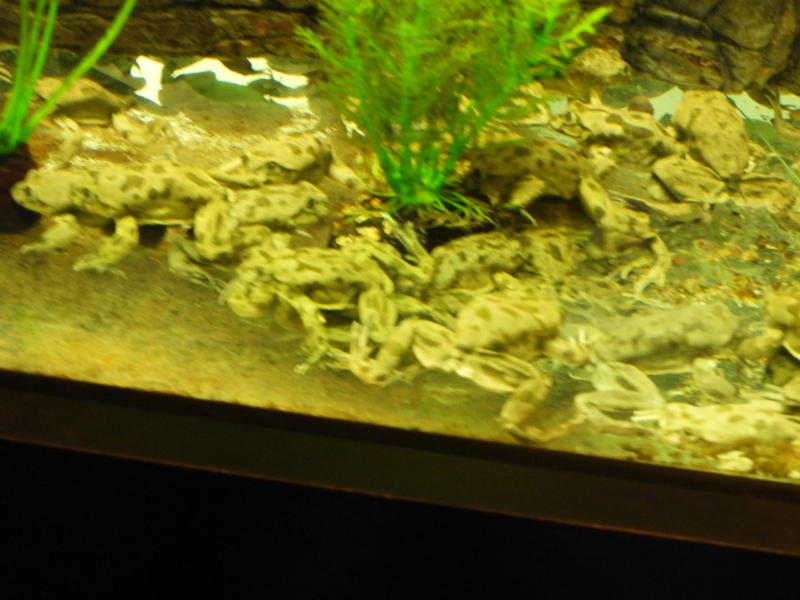 dscn0205.jpg