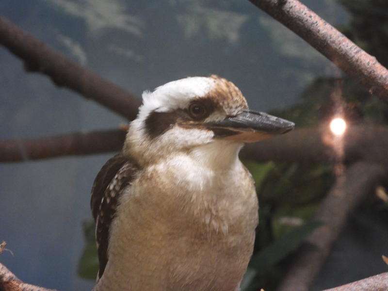 dscn0289.jpg