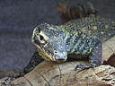 dscn0188.jpg