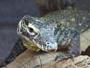 dscn0189.jpg