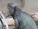 dscn0190.jpg