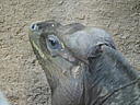 dscn0191.jpg