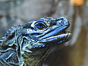 dscn0195.jpg