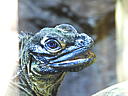dscn0196.jpg