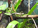dscn0198.jpg
