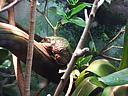 dscn0199.jpg