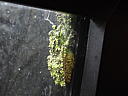 dscn0201.jpg