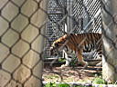 dscn0219.jpg