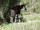 dscn0234.jpg