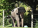 dscn0235.jpg