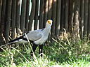 dscn0238.jpg