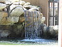 dscn0242.jpg
