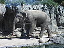 dscn0269.jpg